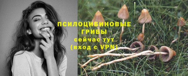 гашишное масло Горняк
