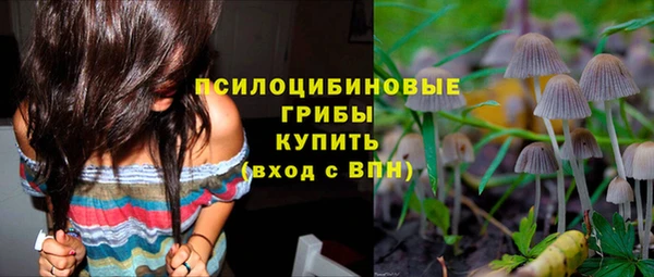 прущие крисы Горно-Алтайск