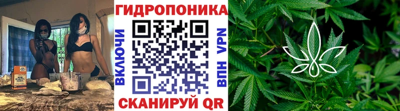 как найти закладки  Чудово  Шишки марихуана гибрид 